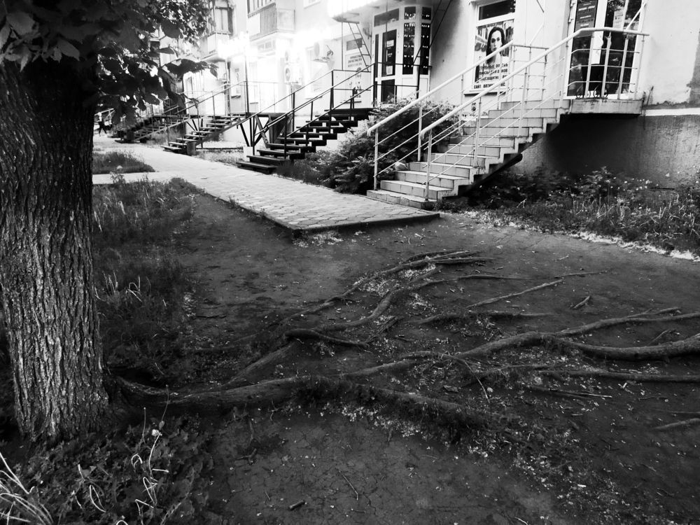 Photograph by Надежда