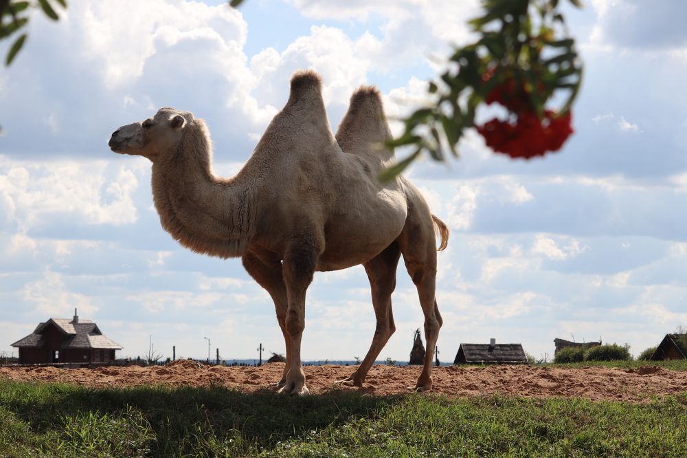 Photograph by Алексейчик Дмитрий
