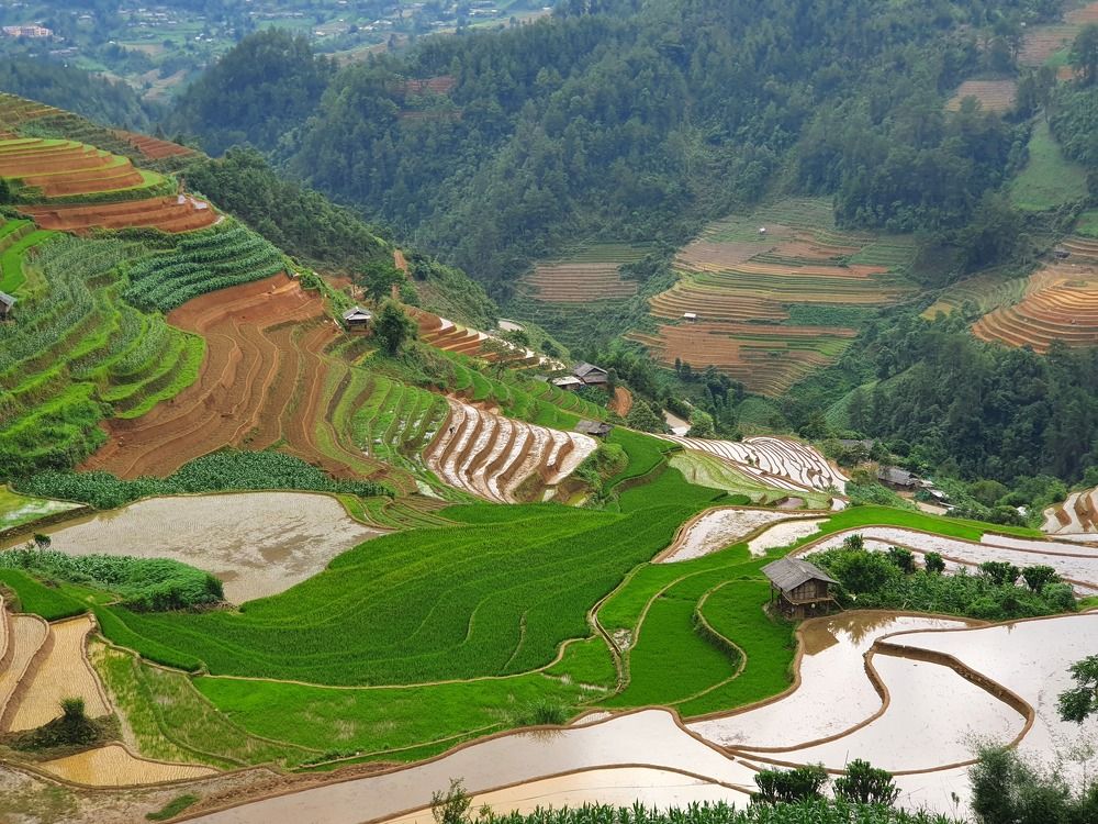 Photograph by Chris Duy