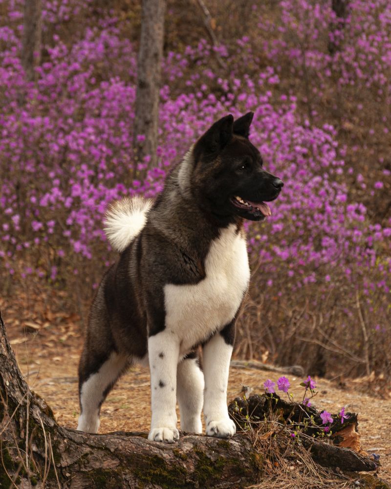 Photograph by Виктория Сафонова