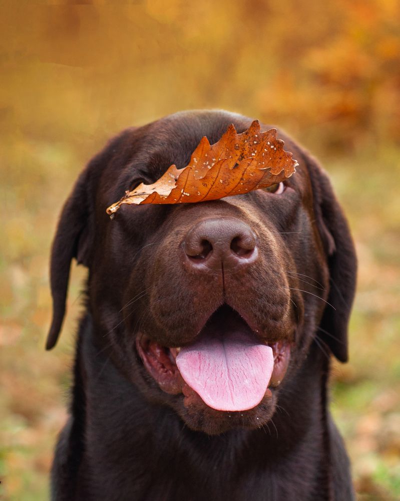 Photograph by Виктория Сафонова
