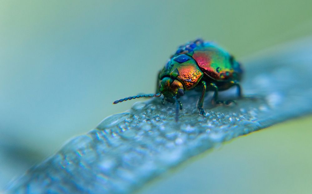 Photograph by Алексей Крукович