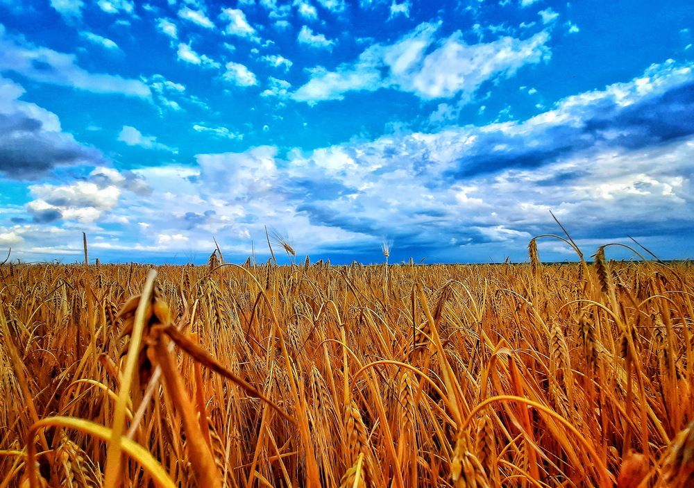 Photograph by Radu Constantinescu