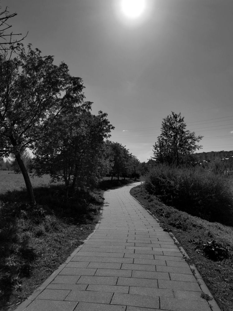 Photograph by Олика