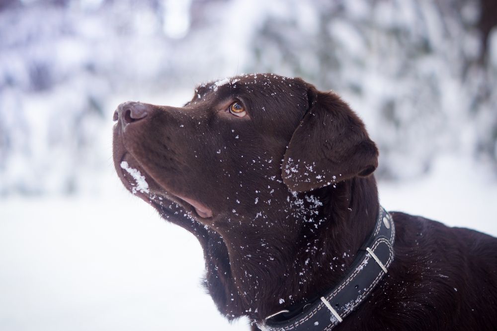 Photograph by Екатерина Булгакова