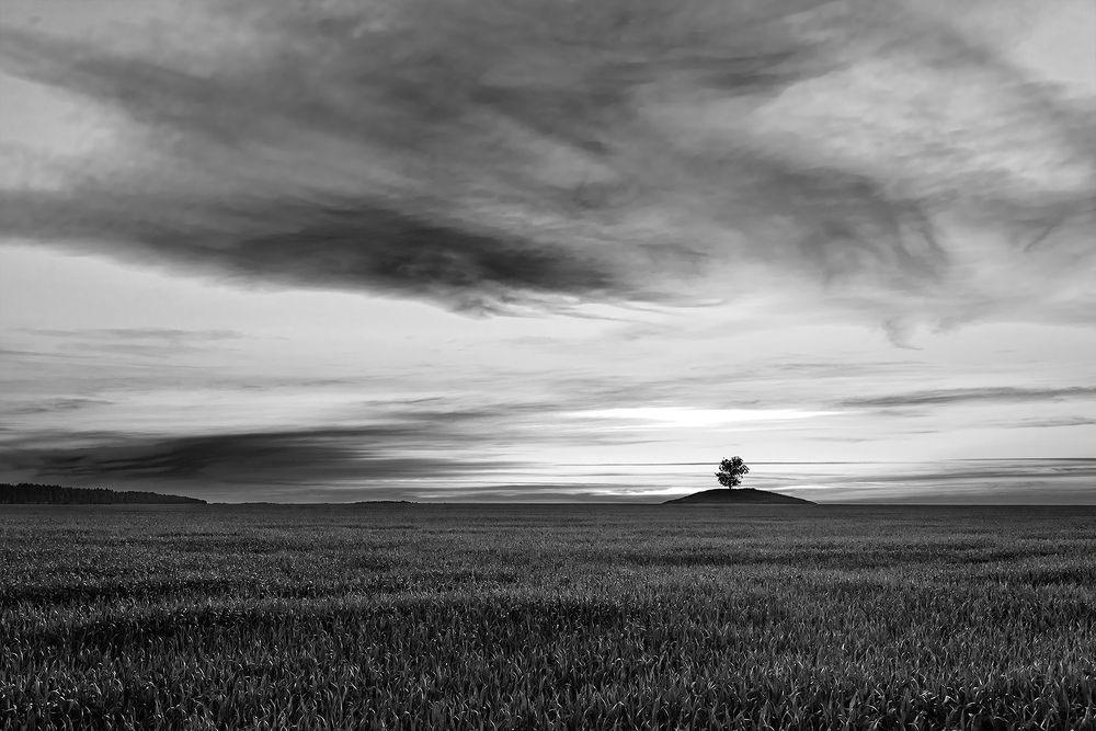 Photograph by Сергей Степанов