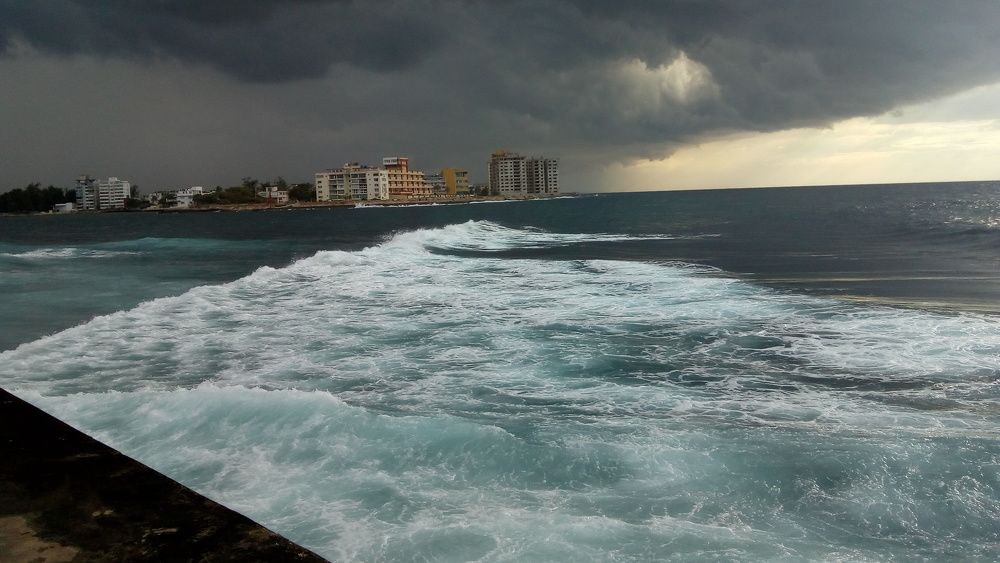 Photo #7641239