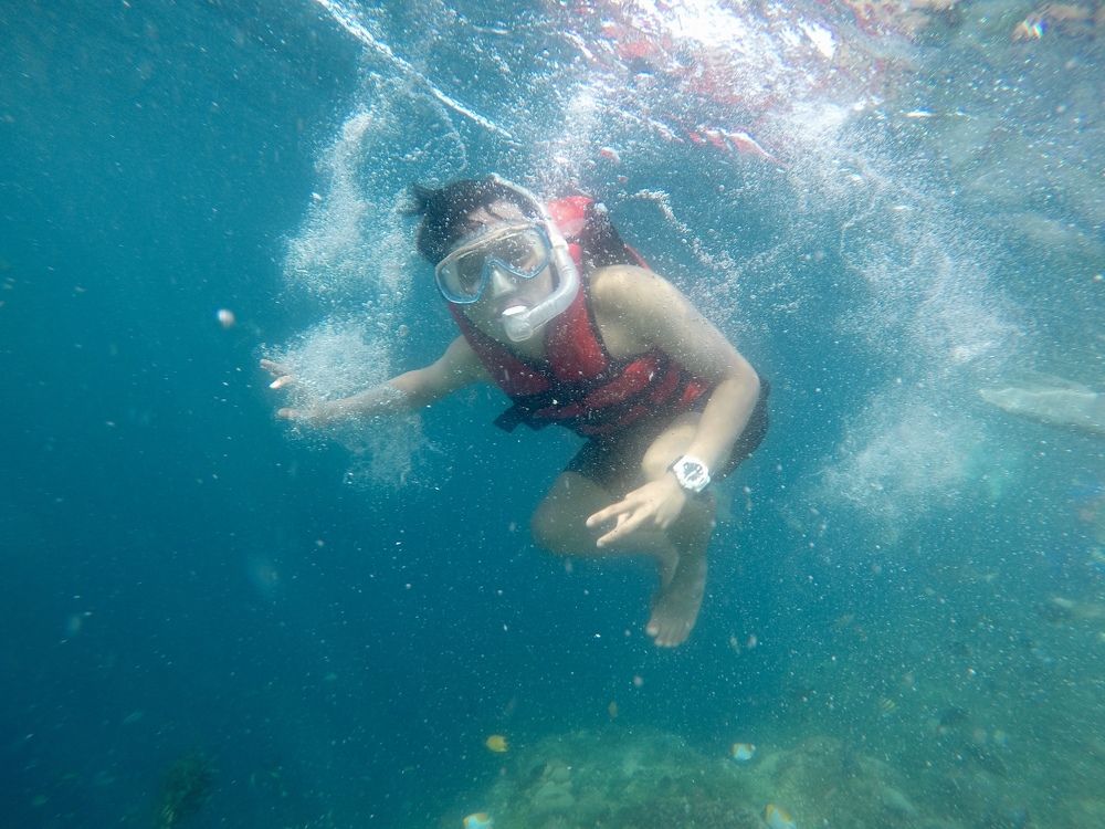 Photo #7641289