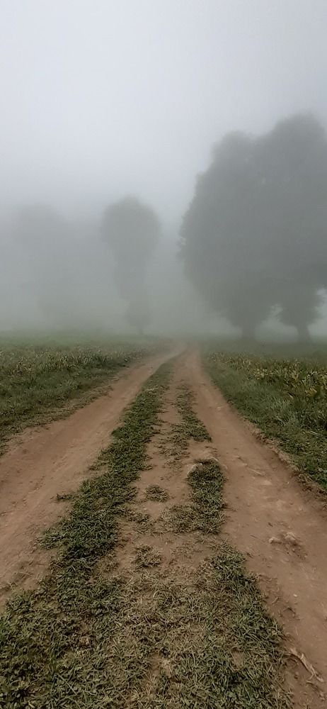 Photograph by leila ganji