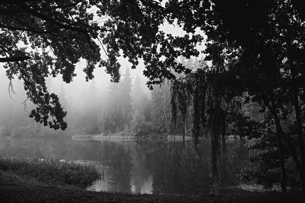 Photograph by Дзен Сергей