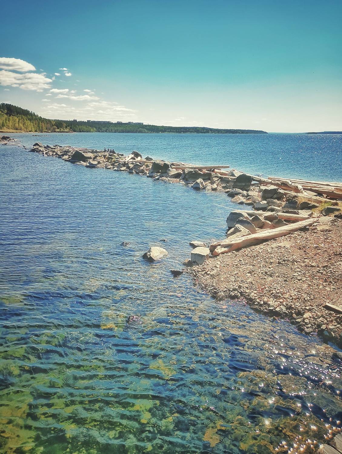 Photo #7641307