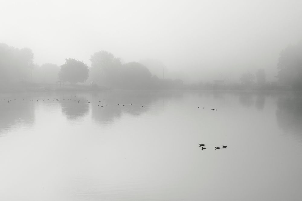 Photograph by Дзен Сергей