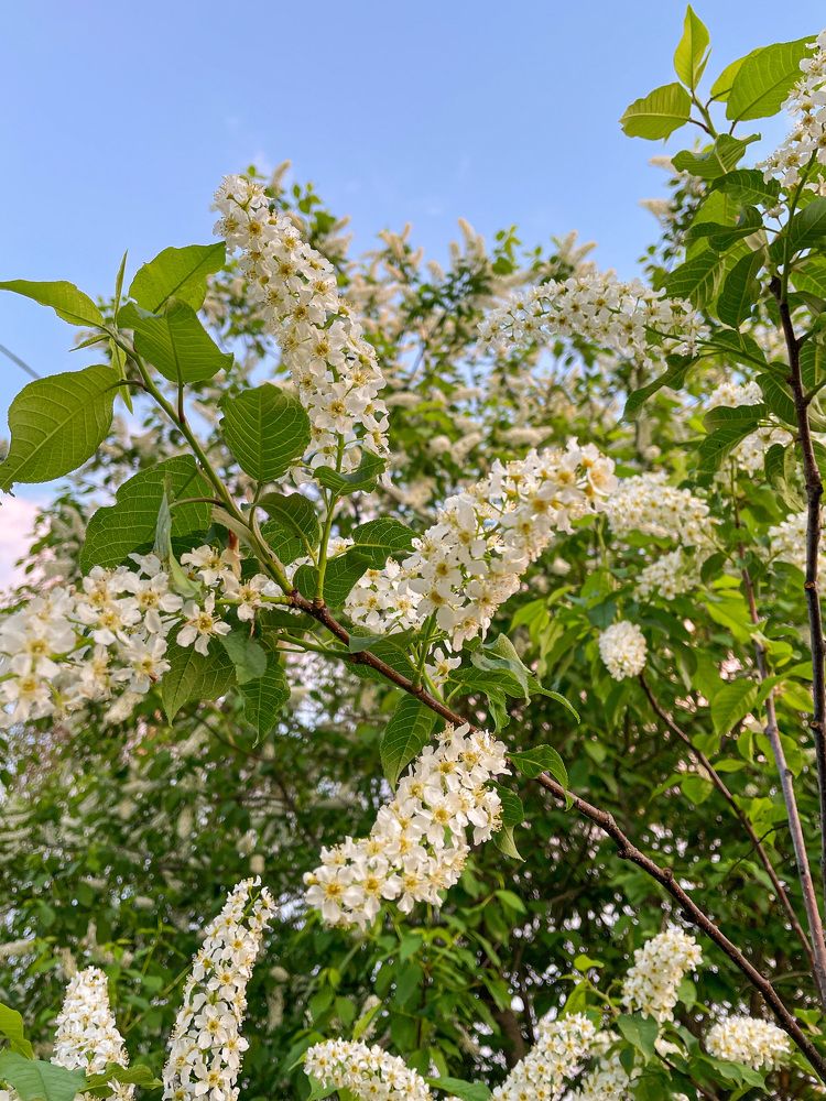 Photograph by Юлия Коншина