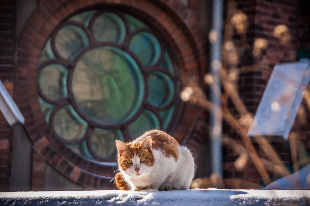 Photograph by Андрей Михайлов