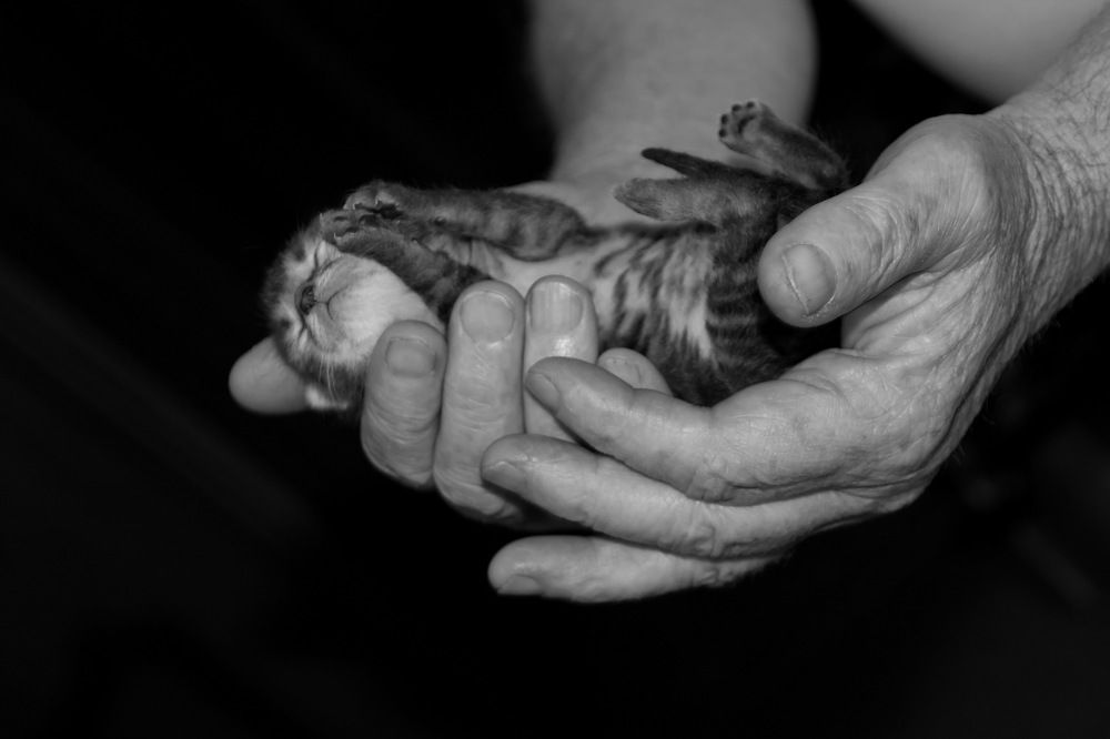 Photograph by Марина