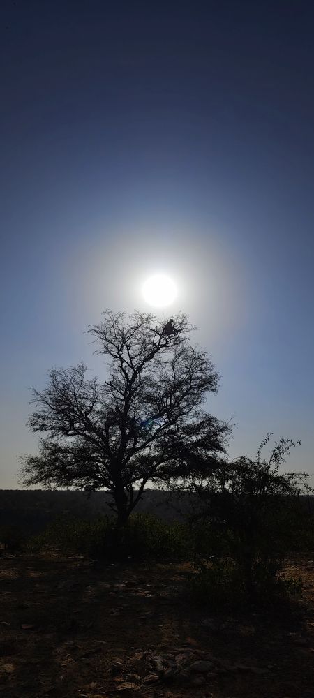 Photograph by Manish Arya