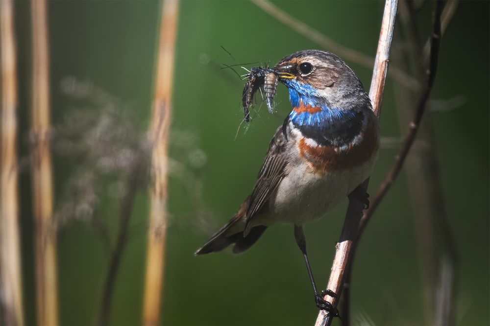 Photograph by Поляков Михаил