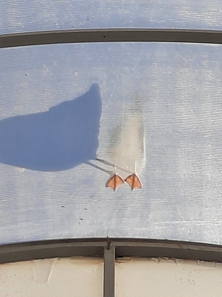 Photograph by Светлана Саиди