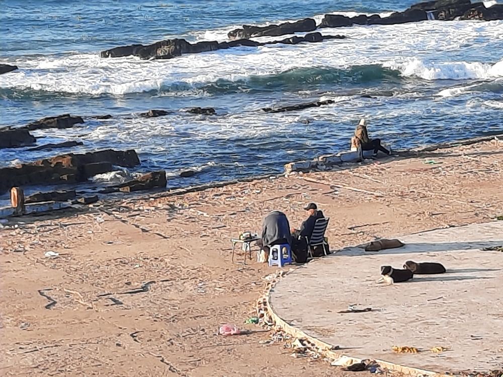 Photograph by Светлана Саиди