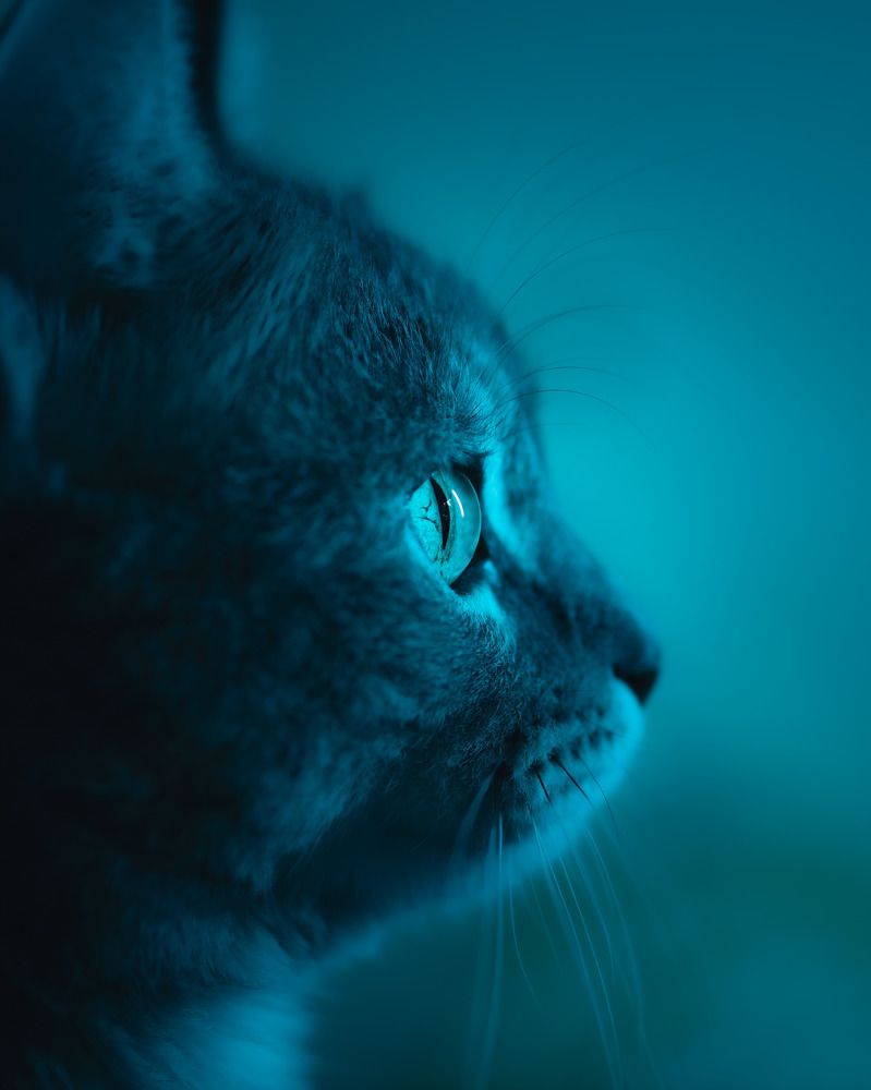 Photograph by Поляков Михаил