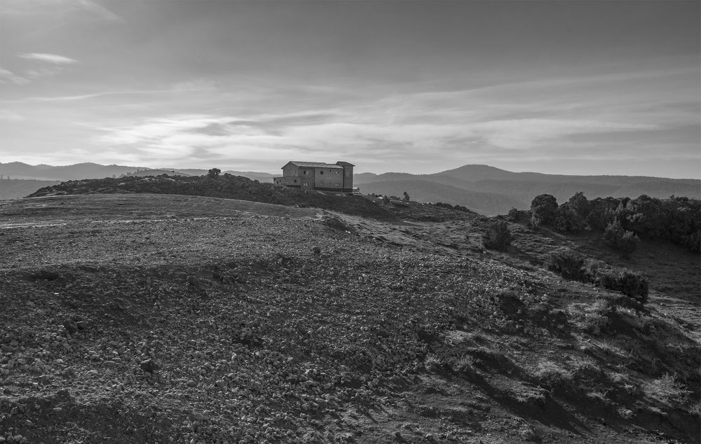 Photograph by Светлана Саиди