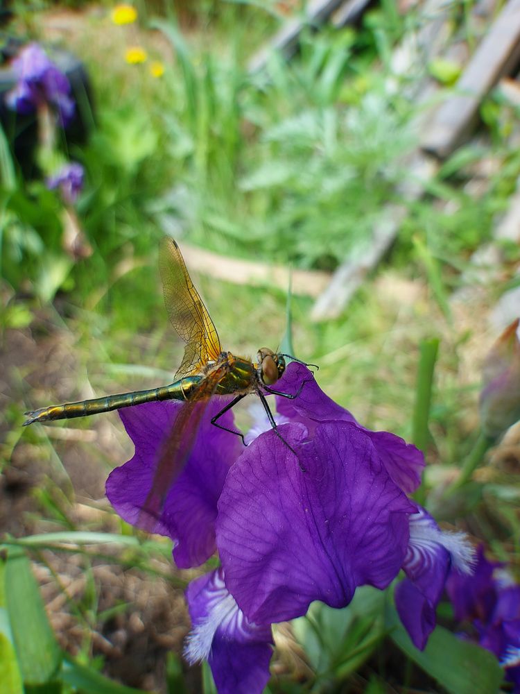 Photograph by Татьяна Гатиятуллина