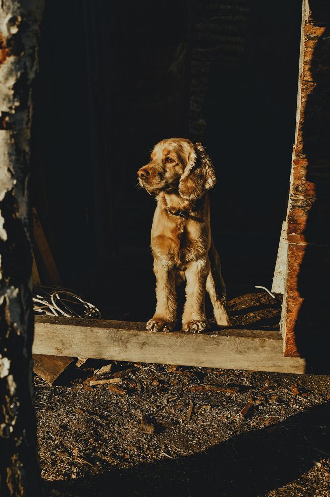 Photograph by Мария Лысых