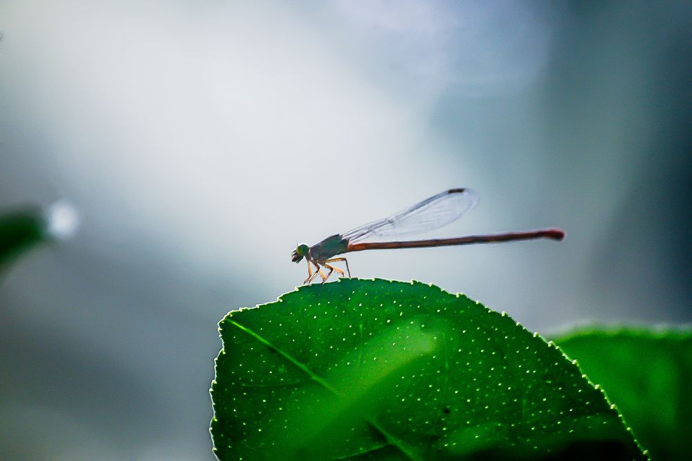 Photograph by Asna Azeez