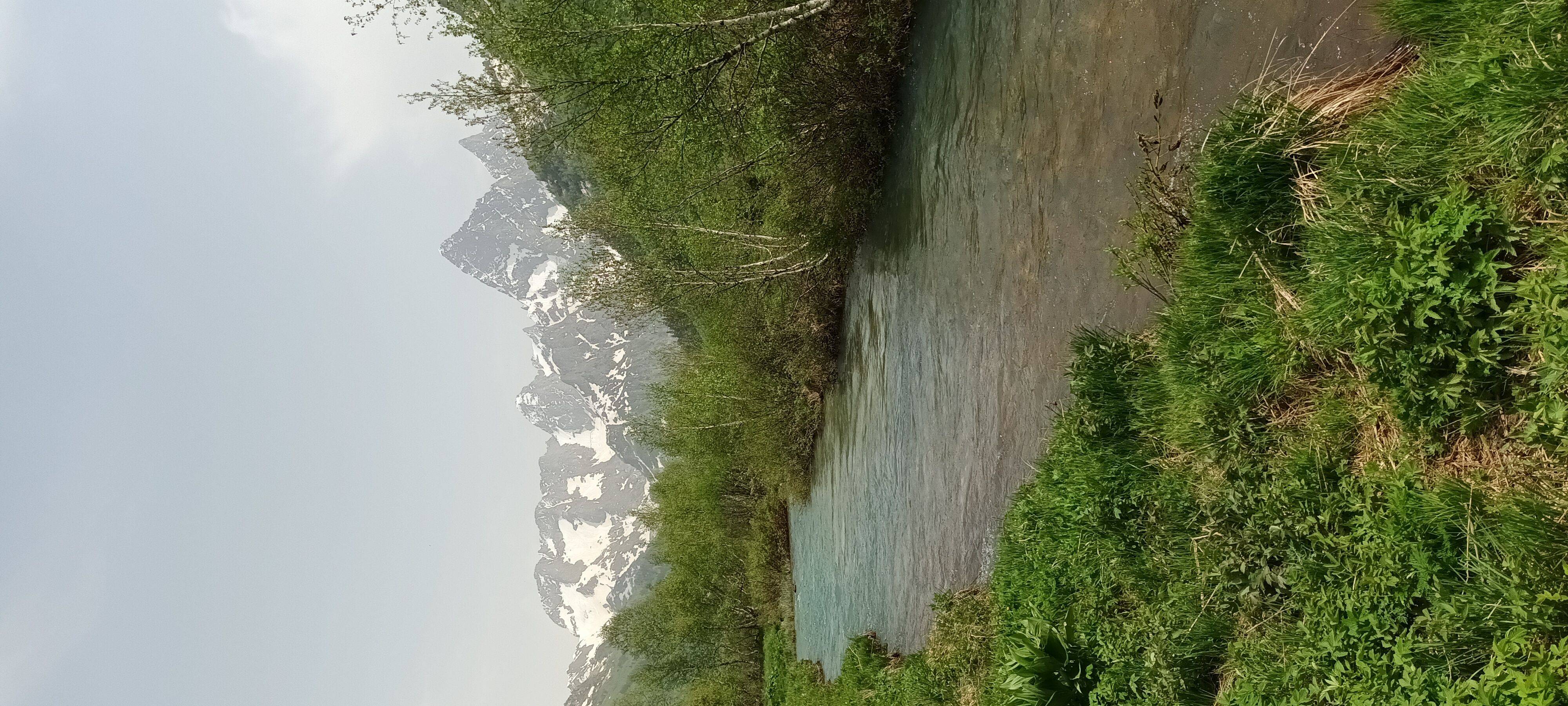 Photo #7641607
