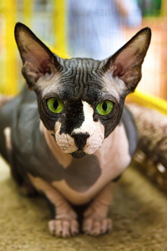 Photograph by Юрий Карпенко