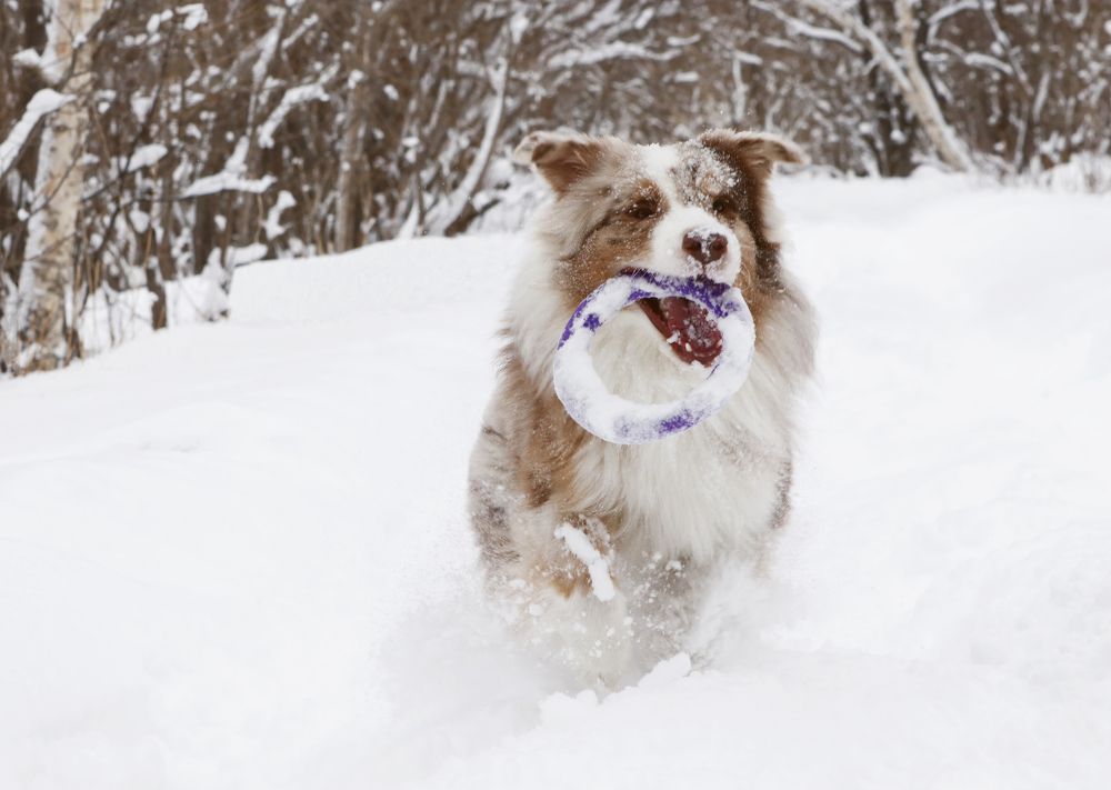 Photograph by Виктория Марьинских