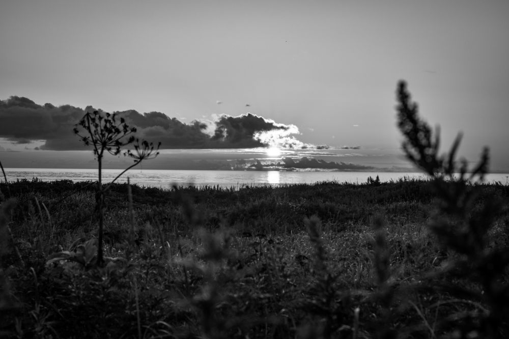 Photograph by Ксения Соколова