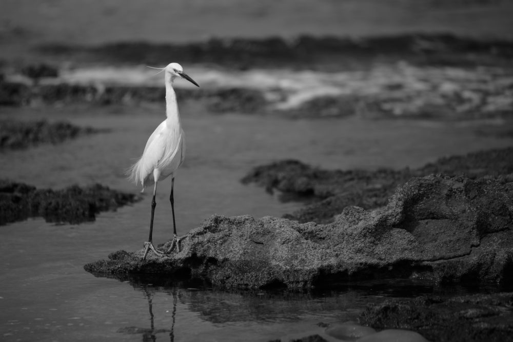 Photograph by Lyubelskiy Photography