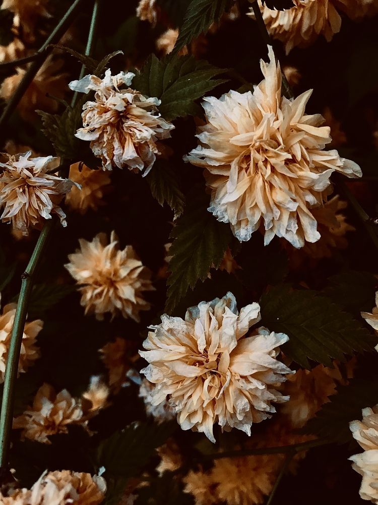 Photograph by Алёна Лихачёва