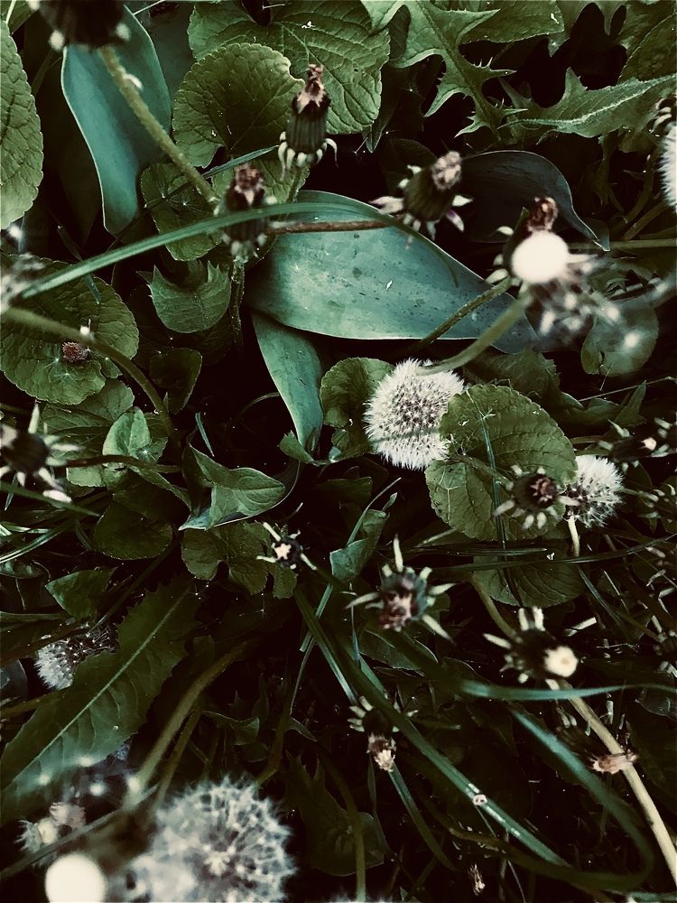 Photograph by Алёна Лихачёва