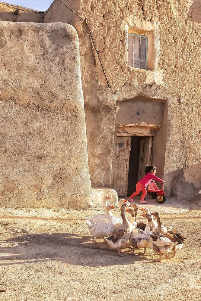 Photograph by Farzaneh Vaezmomeni