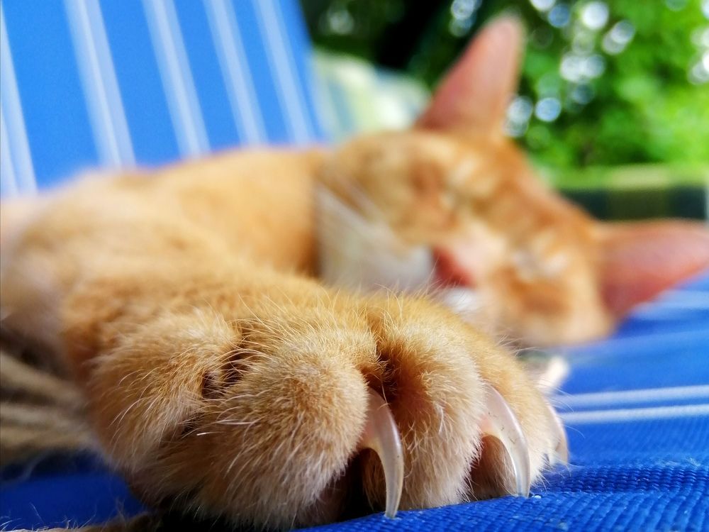 Photograph by Светлана Веселовская