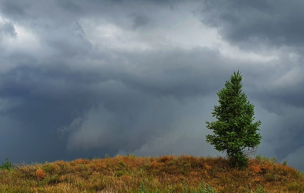 Фотография автора Надежда Лисицына