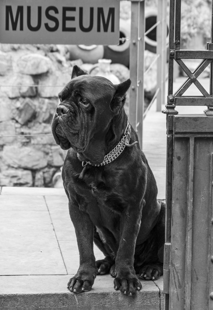 Photograph by Alex Kalpus