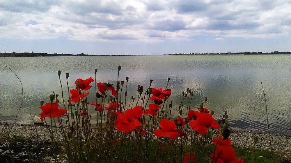 Photograph by Елена Коробкина