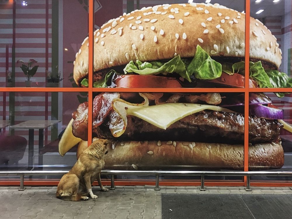 Photograph by Елена Акулова