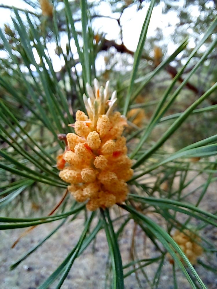 Photograph by Татьяна Собенникова