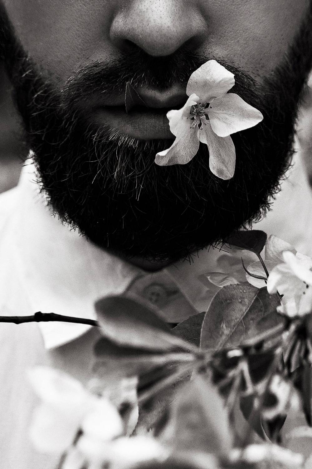 Photo #7641977