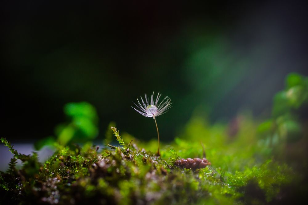 Photograph by Julia Yerdelen