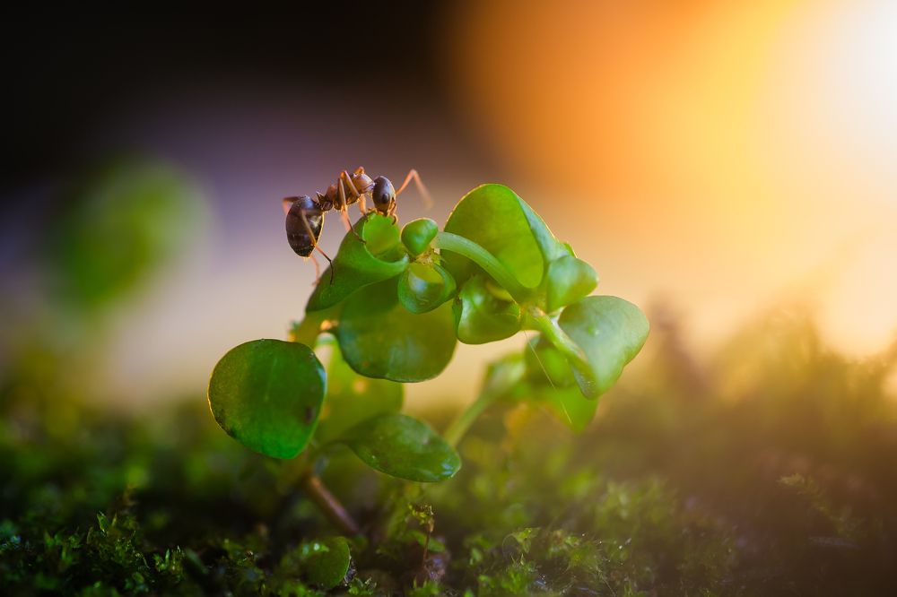 Photograph by Julia Yerdelen