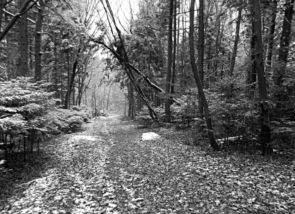 Photograph by Сергей Рапопорт