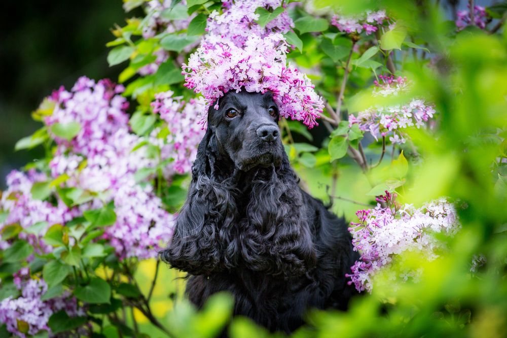 Photograph by Наталья Степанова