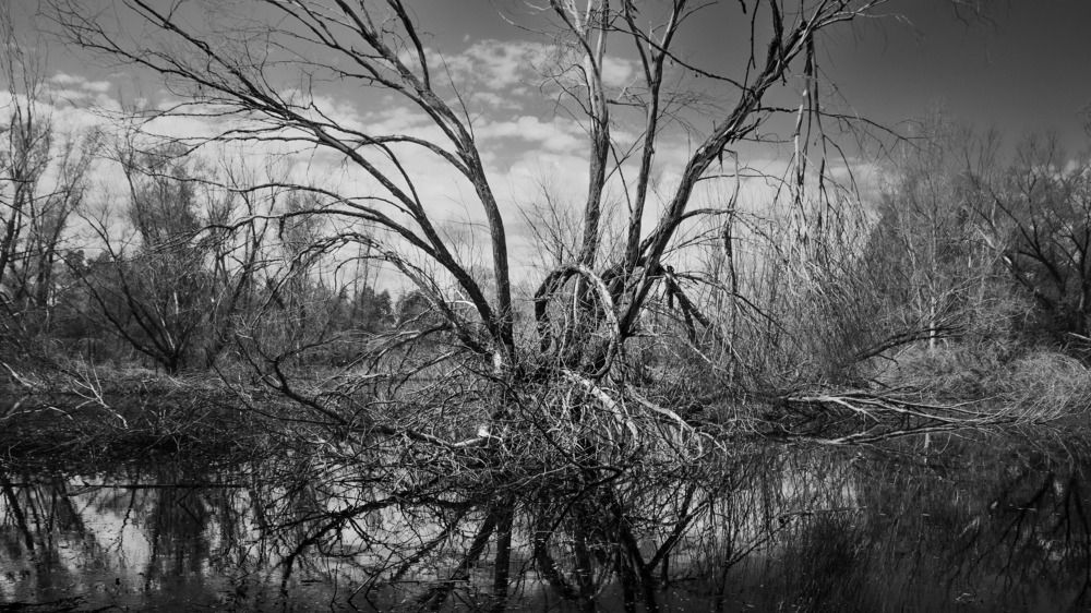 Photograph by Александр Битюков