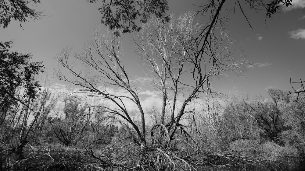 Photograph by Александр Битюков