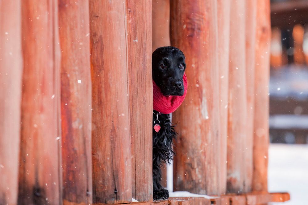 Photograph by Наталья Степанова